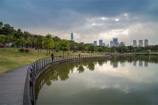 摄图网_500075648_banner_深圳的公园（企业商用）.jpg