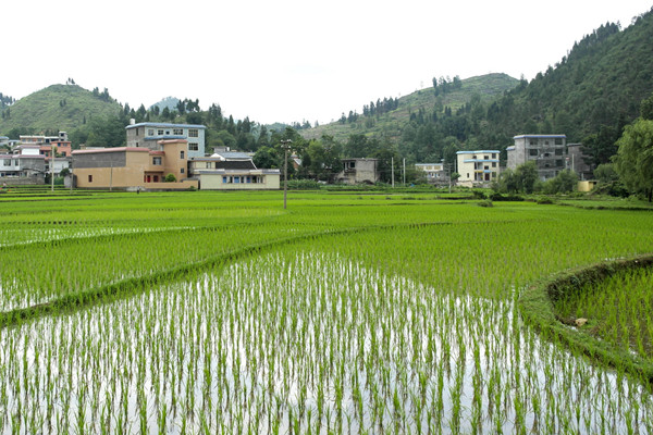 农村集体经营性建设用地入市改革-摄图网.jpg